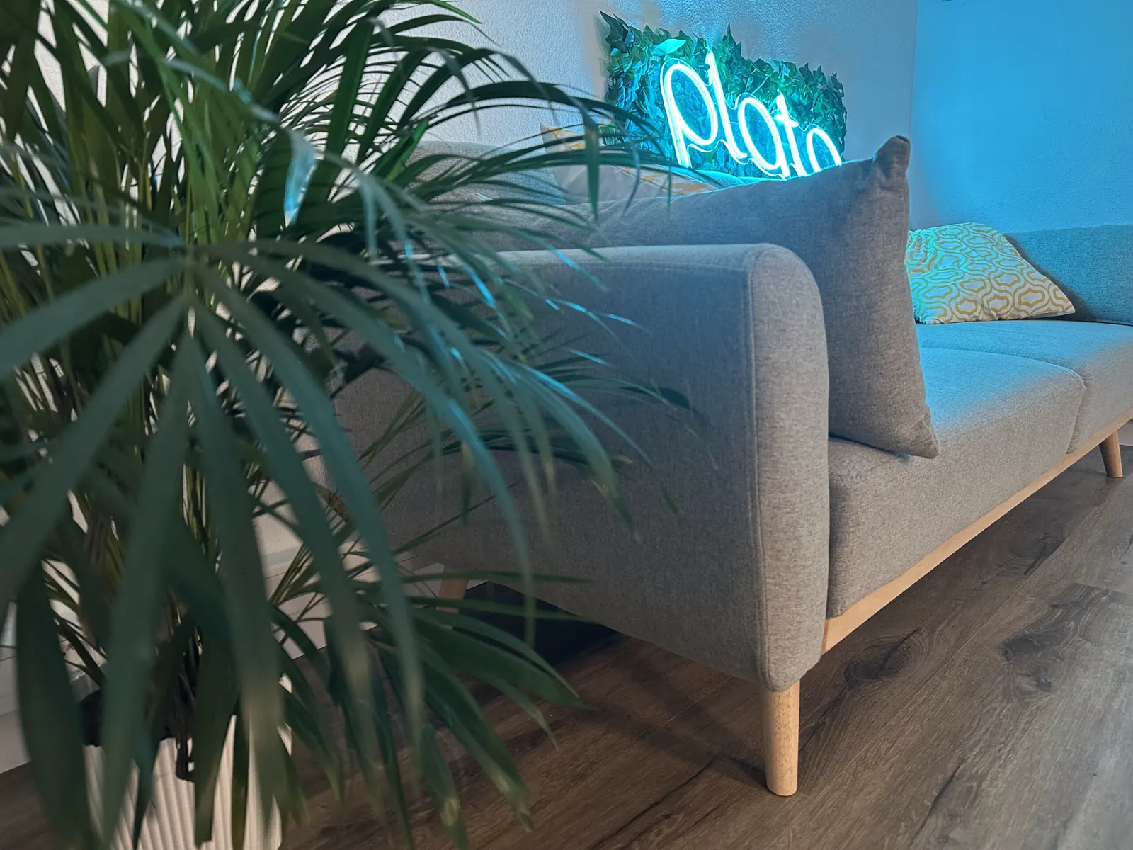 Le lounge — studio Plato